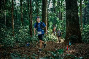 BIB: 
                            <button type="button" onclick="openModal(26130259)" class="btn btn-primary btn-sm float-right btn-popup" data-toggle="modal" data-target=".modal-high-quality">
                        <i class="fas fa-shopping-cart"></i> Add to Cart
                    </button>
                                            <button type="button" onclick="isThisMe(26130259, true)" class="btn btn-success btn-sm float-right btn-popup btn-isme hidden" data-toggle="tooltip" data-placement="bottom" title="นี่คือรูปของคุณใช่ไหม คลิกที่นี่เพื่อเอาเข้าอัลบั้ม">
                        <i class="fas fa-plus"></i> Add to album
                    </button>
                    <button type="button" onclick="isThisMe(26130259, false)" class="btn btn-warning btn-sm float-right btn-popup btn-isnotme hidden">
                        <i class="fas fa-ban"></i> Remove from album
                    </button>